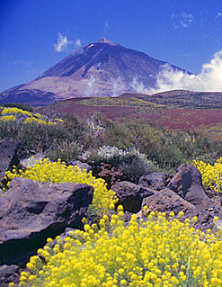 Tenerife Las Canadas Del Teide